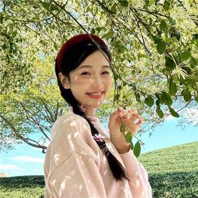 不嫁则已